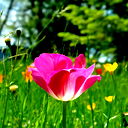 Акжол Ва №2