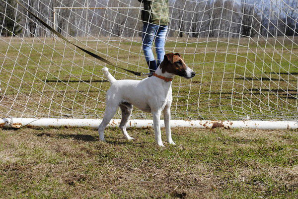 Юленька Плохова