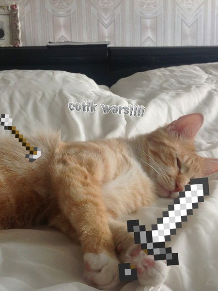 Сергей Лосев