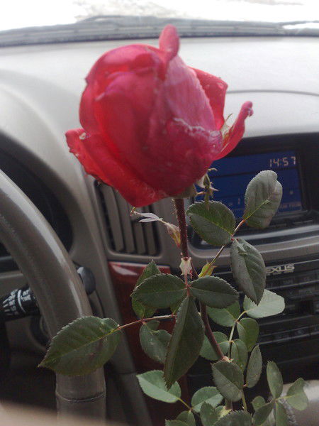 Замира Абдалиева