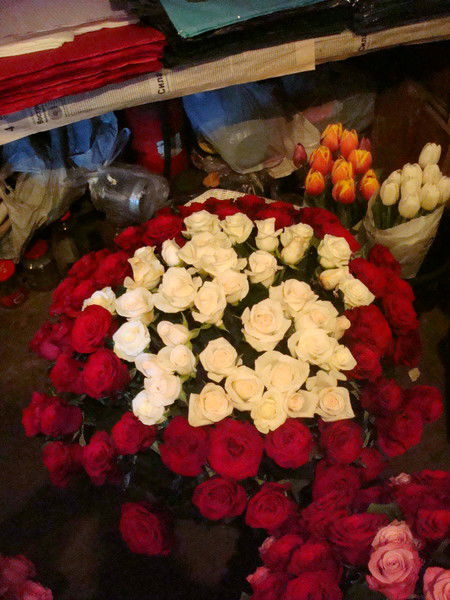 Виолетта Маркова