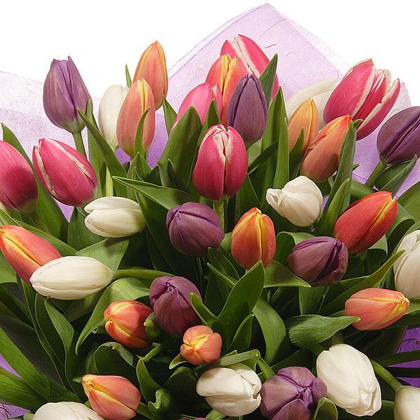 Венера Елдоскызы