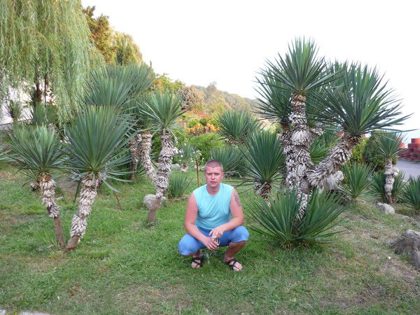 Андрей Митичкин