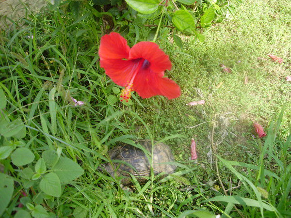 Валентина Уткина