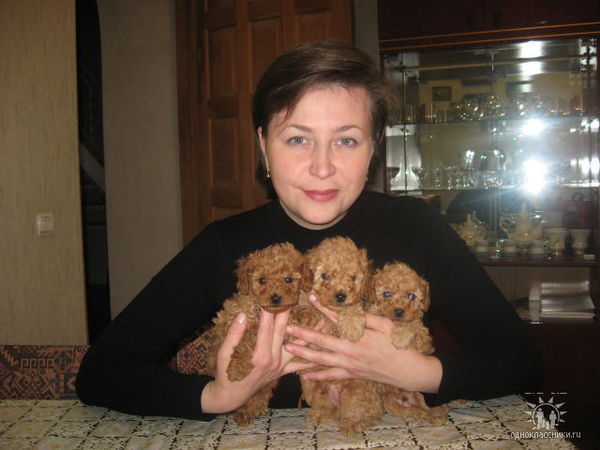 Елена Мельникова