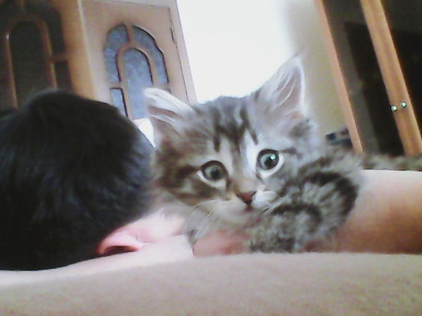 Разия Нуркенова