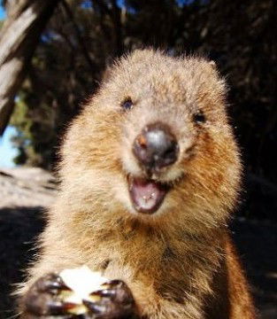 Алекс Сандра