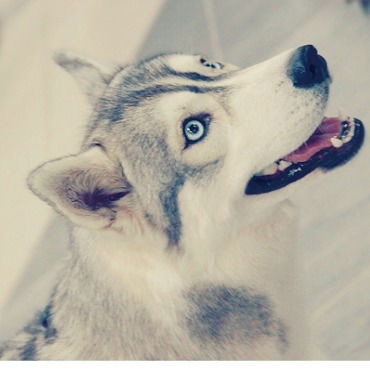 Садана Раимжанова