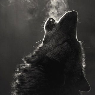 Волк Ликаон