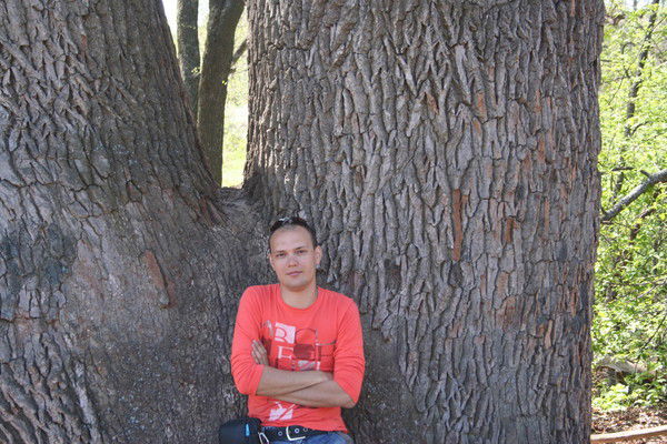 Архивариус Сектор