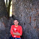 Архивариус Сектор