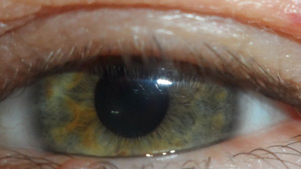 Денис Ямилев