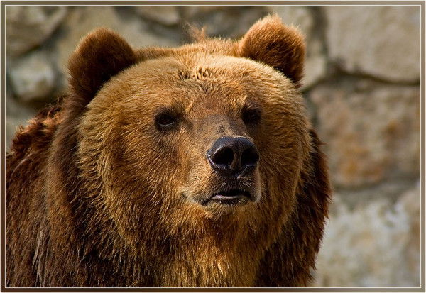 Лёха Магадан!