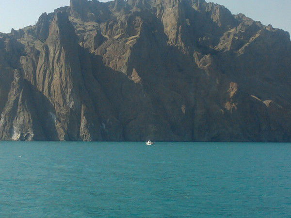 Ольга Золотковская