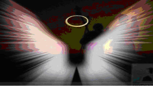 Надежда Чекотило