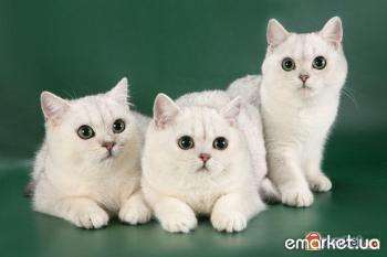 Варвара Ильичёва