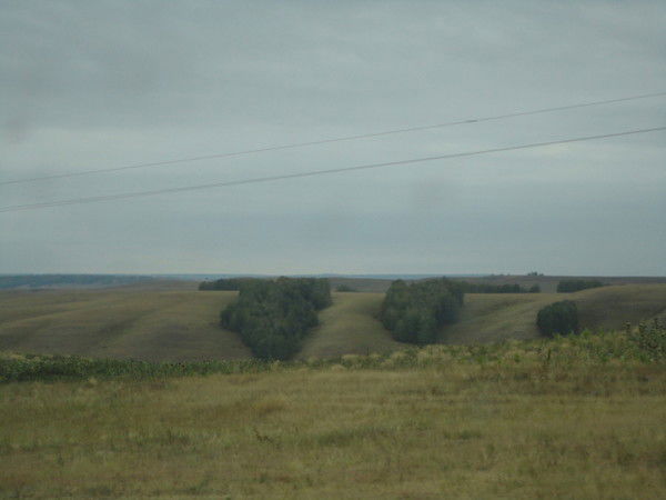 Владимир Потанин