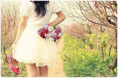 Дегустация Жизни