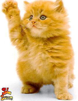 Света Панова