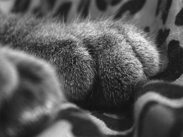 Светлана Крюкова