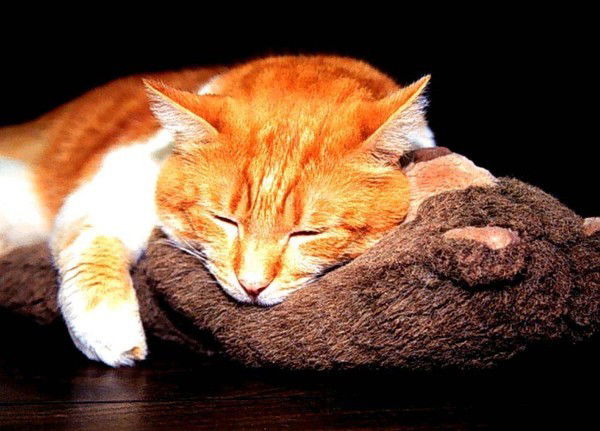 Алексей Шишкин