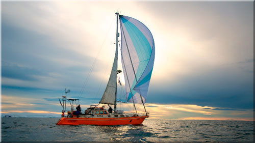 Юлия Тырыкина