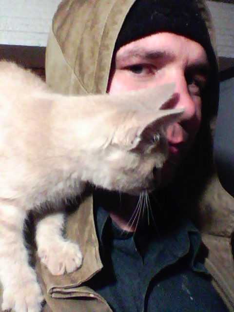 Ласковый Взгляд