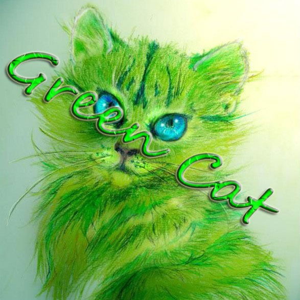 Михаил Павловский