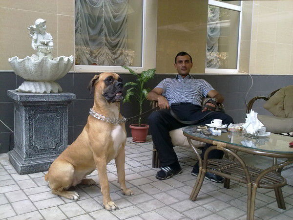 Артур Кавказ