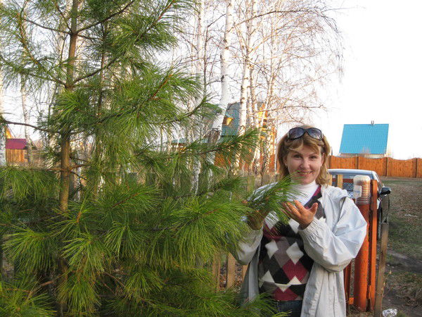 Алла Трошина