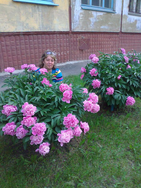 Валентина Панова