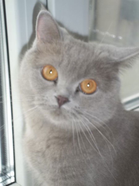 Наталья Вострикова