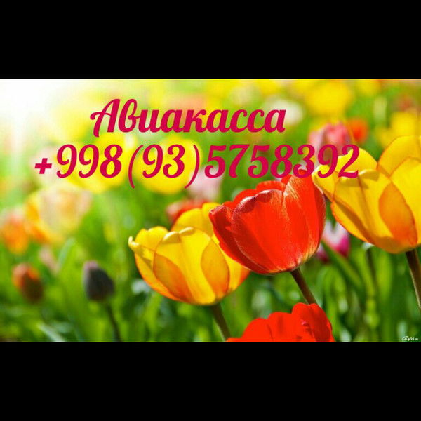 Available Zamira Sigma