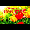 Available Zamira Sigma