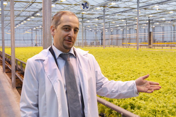 Янис Галаниди