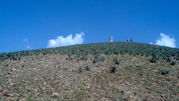 Akramjon Mamadiyorov