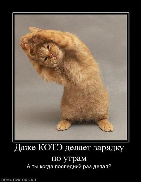 Алексей Шмотин