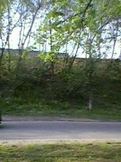 Ирина Дворягина