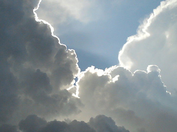 Анастасия Кеда