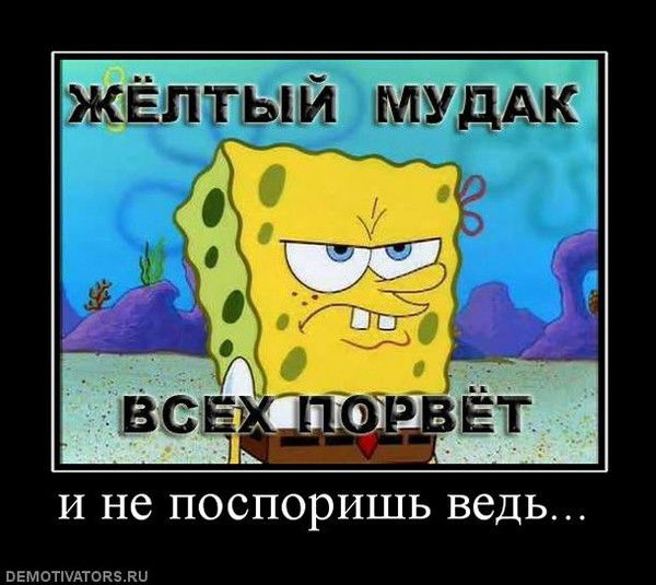 Никита Бушмелев