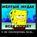 Никита Бушмелев