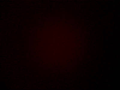 Алексей Кудряшов