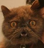 Евгений Из Беларуси