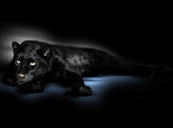 Анна Светашева