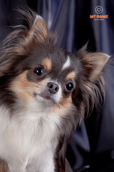 Марина Кобелева