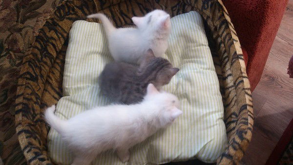 Любовь Захарова