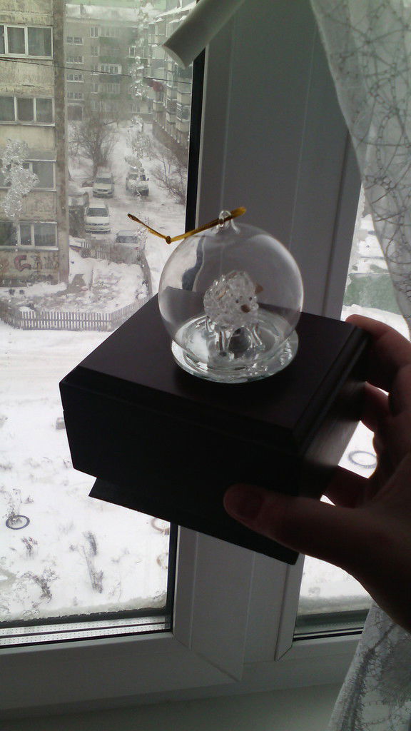 Анюта Суворова