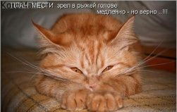 Ольга Сайфудинова