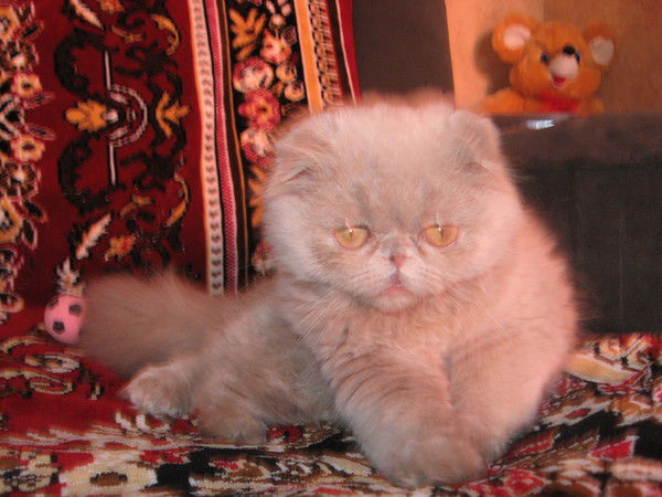 Наталья Зима