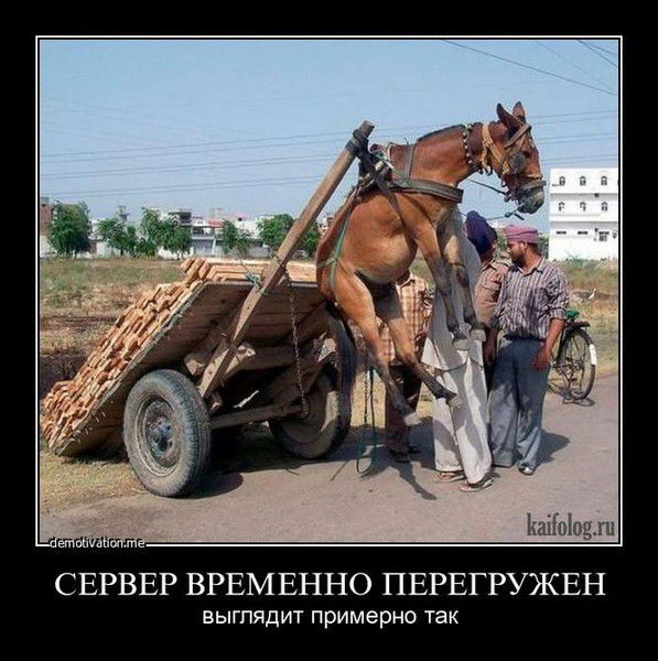 Ибрагим Висханов